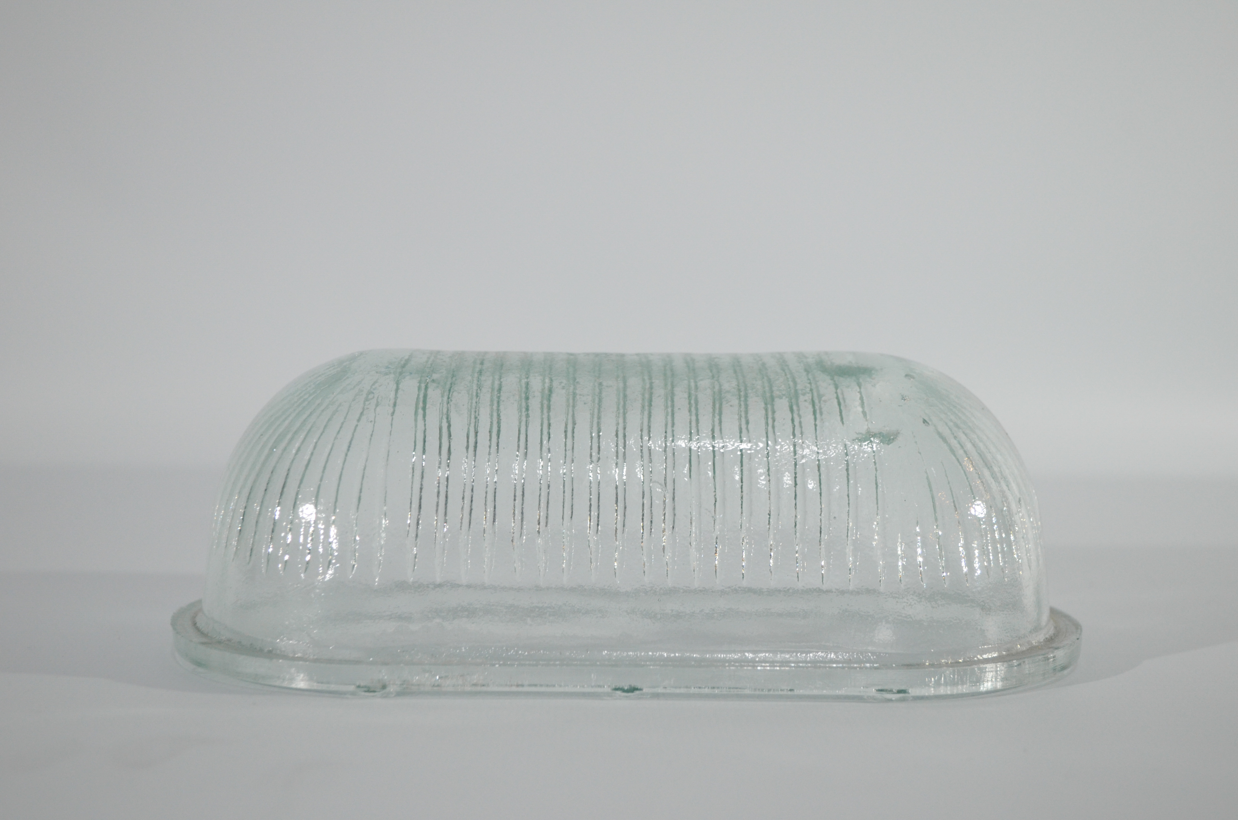 Plafón tortuga ovalada