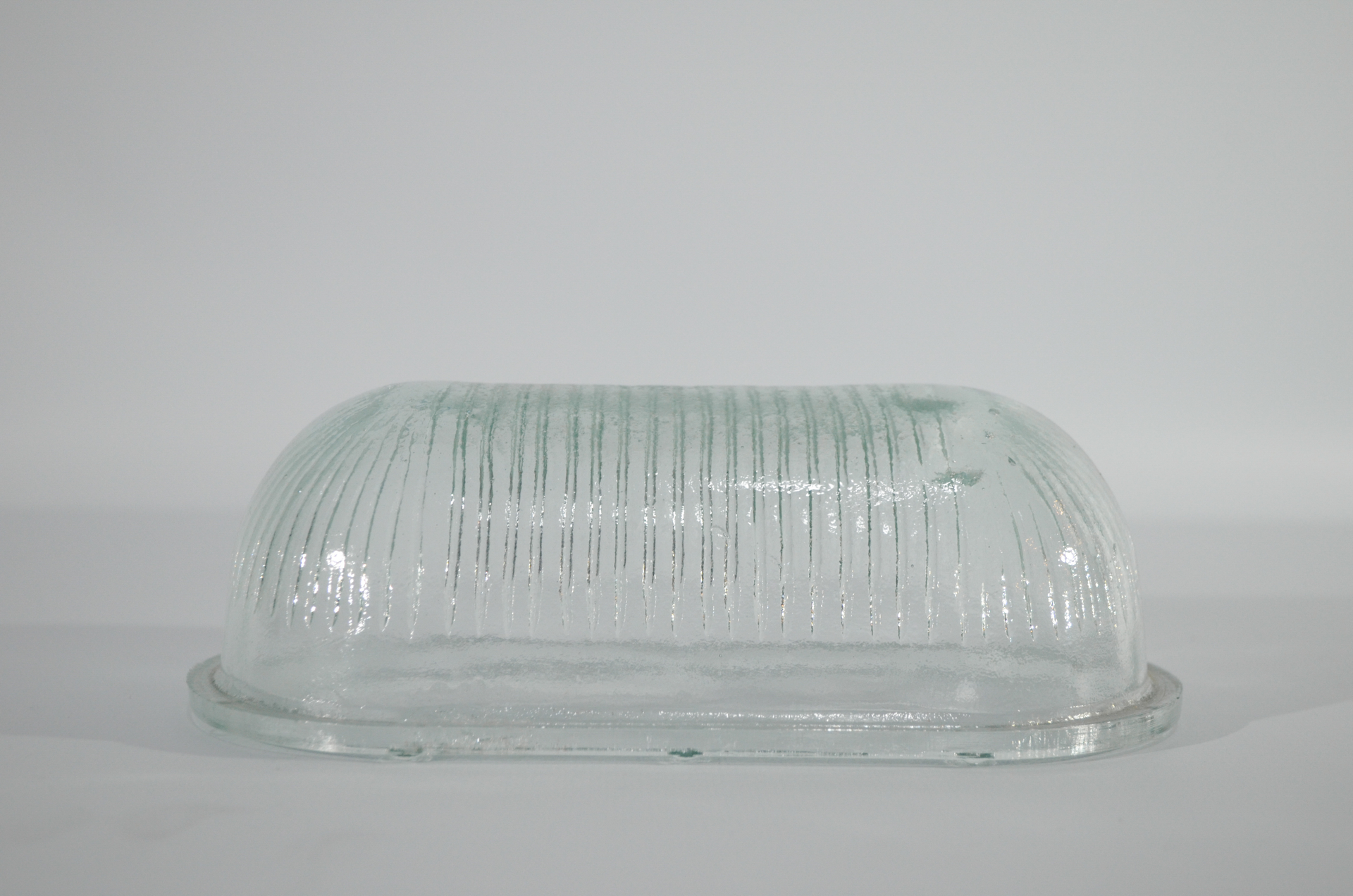 Plafón tortuga ovalada